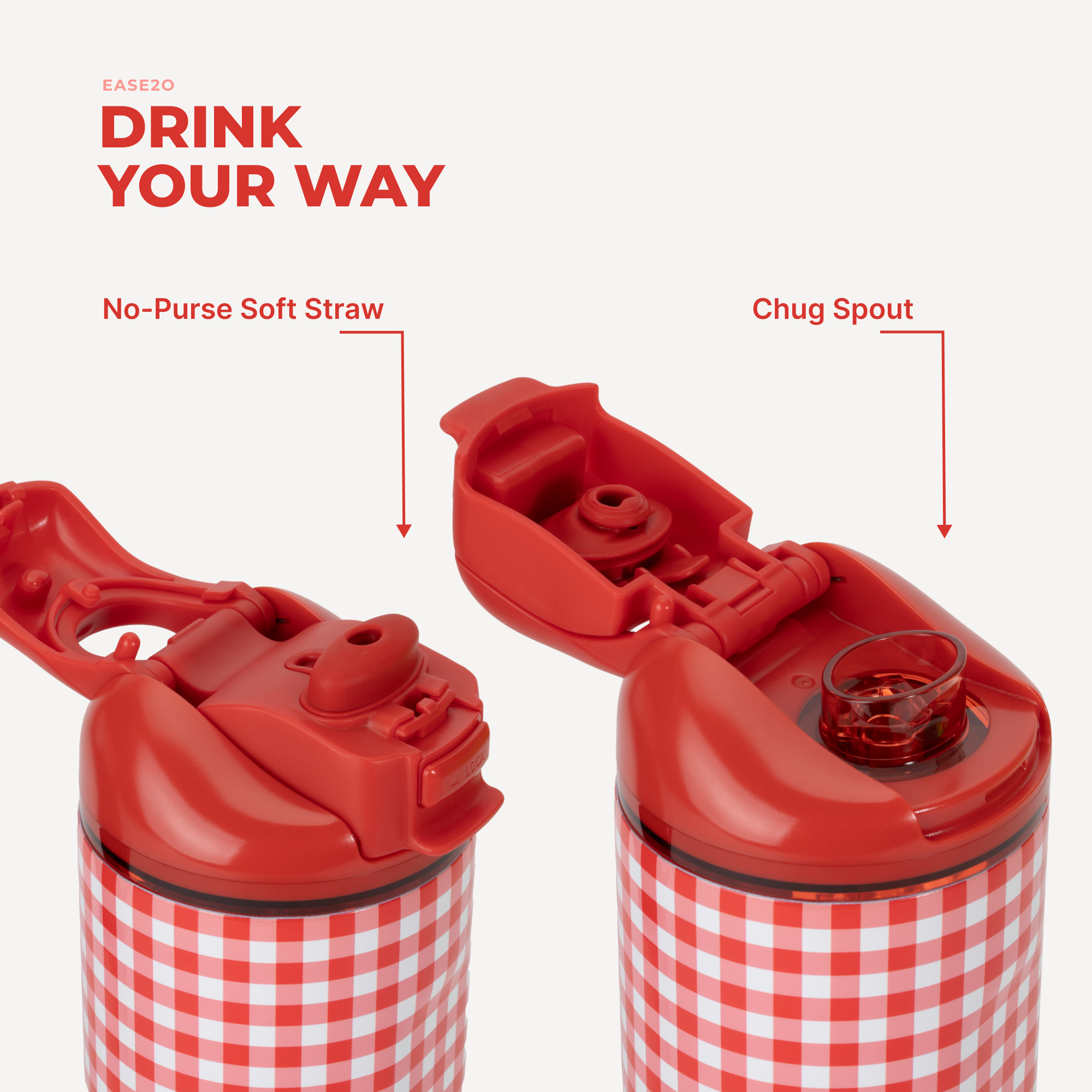 Summer Picnic